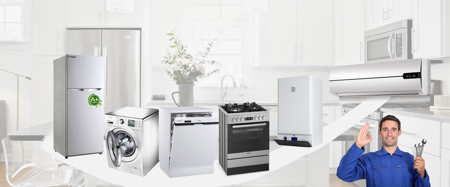 Altınova Electrolux Servisi